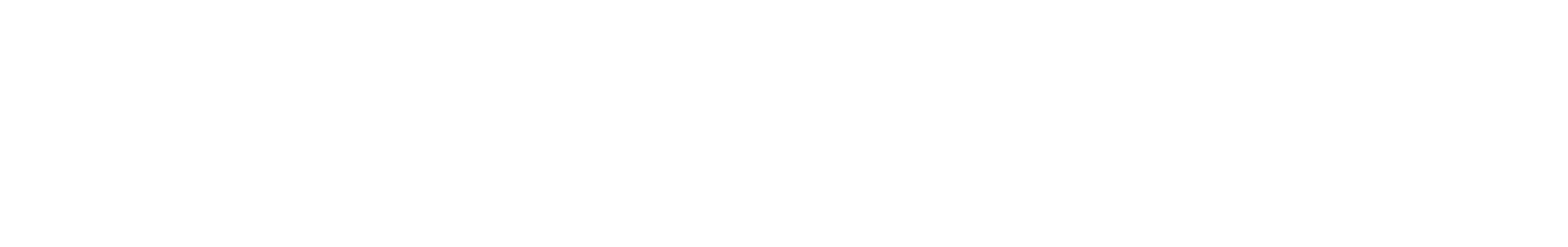 TOKNAV